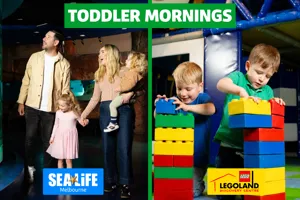 Toddler Mornings Cluster (310X187px) (1)