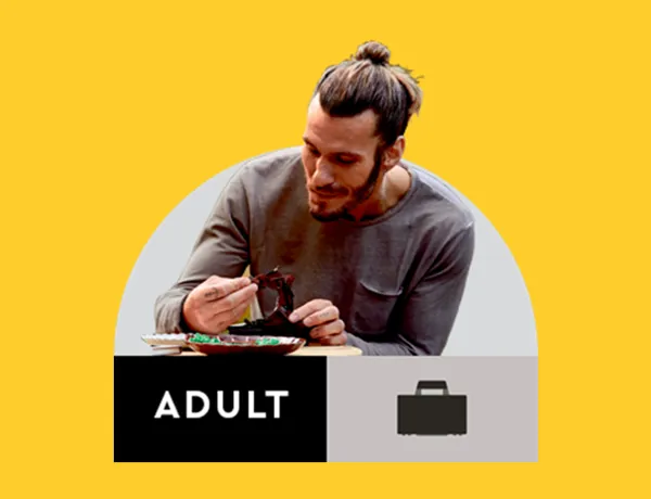 LEGO AGE ADULT