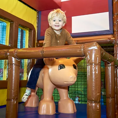 LDC Duplo Farm 2