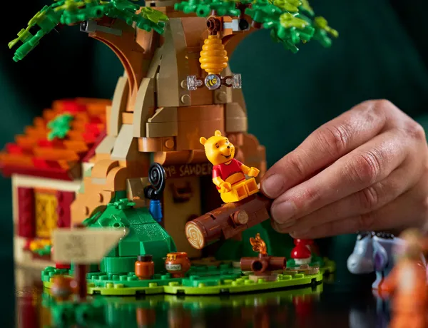 LEGO Ideas 21326 Winnie The Pooh 6