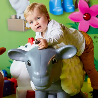 LDC Duplo Farm 5